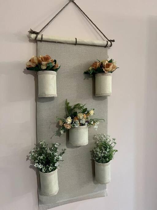 Apartment Amar